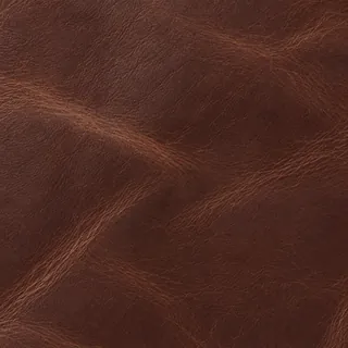 Cuero Chocolate