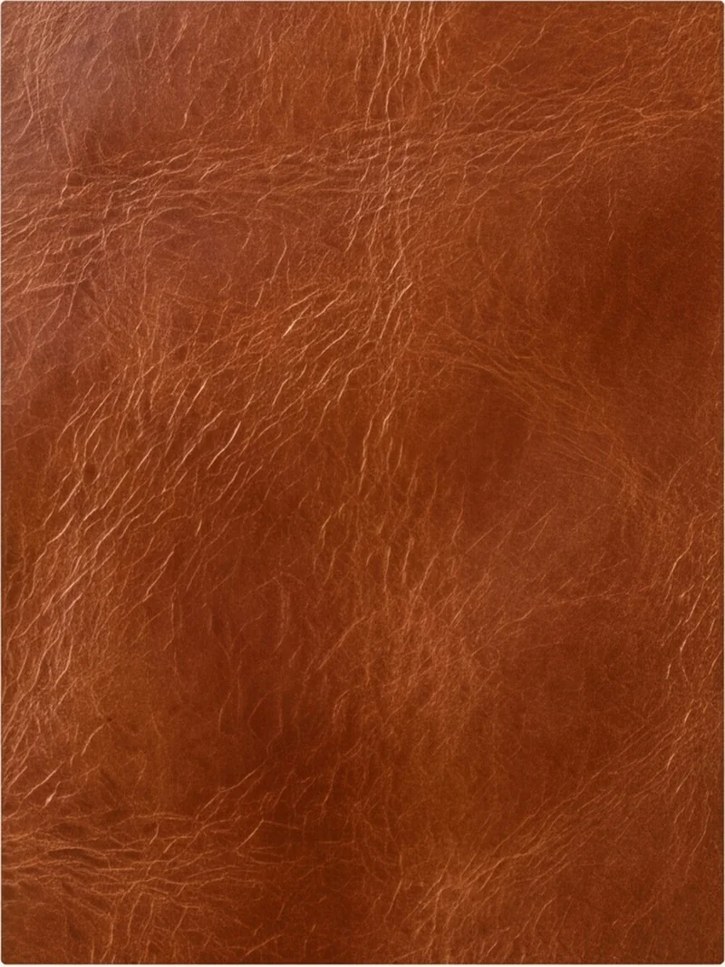 Cuero Cognac
